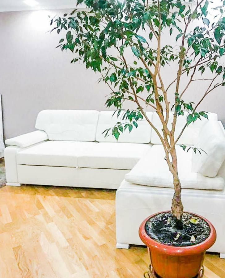 Rent-kiev On Luxklavdievskaya Apartment Kyiv